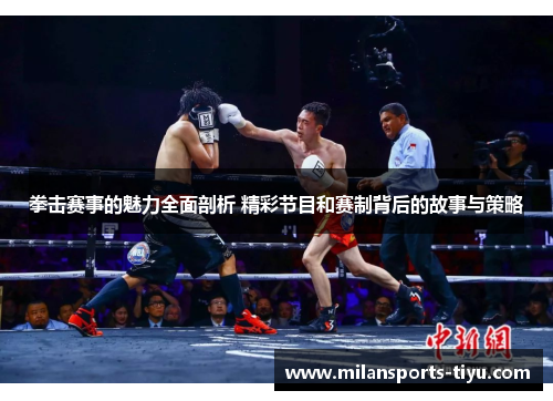 拳击赛事的魅力全面剖析 精彩节目和赛制背后的故事与策略
