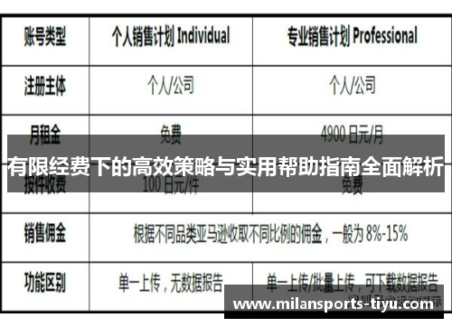 有限经费下的高效策略与实用帮助指南全面解析